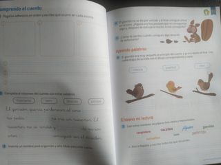 Lengua Primero de Primaria