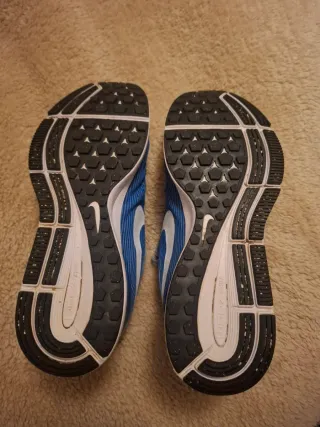 Nike Air Zoom Pegasus 34 Talla 44.5