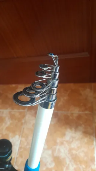 Caña de pescar SANCTITY con carrete