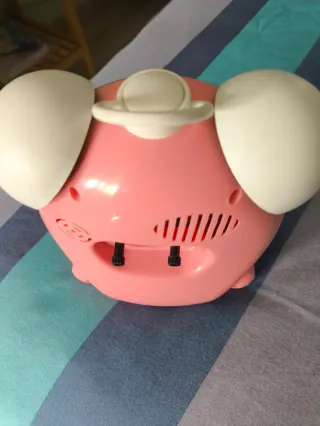 Despertar ROSA NIÑA