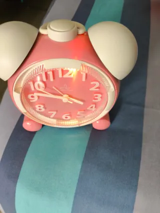 Despertar ROSA NIÑA