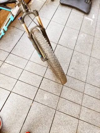 Bicicleta Eléctrica Bosch Performance CX