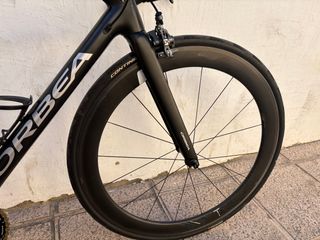 Orbea orca