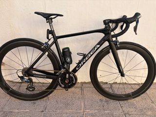 Orbea orca