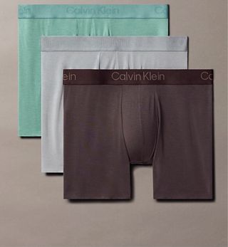 Calvin Klein Boxer Briefs Ultra Soft Modal S