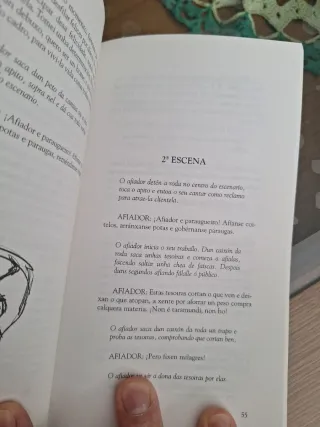 Lote 2 libros en gallego