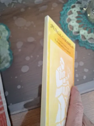 Lote 2 libros en gallego