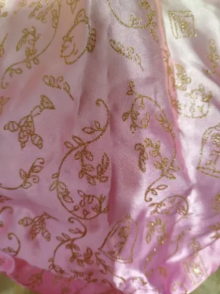 Disfraz Bella Disney Princesas