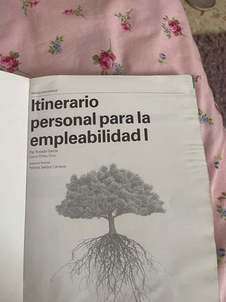 Itinerario personal para la empleabilidad I
