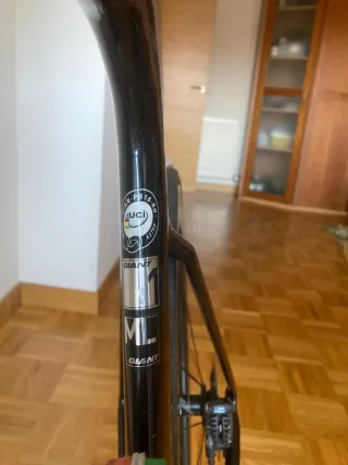 Bicicleta Giant Propel Aero