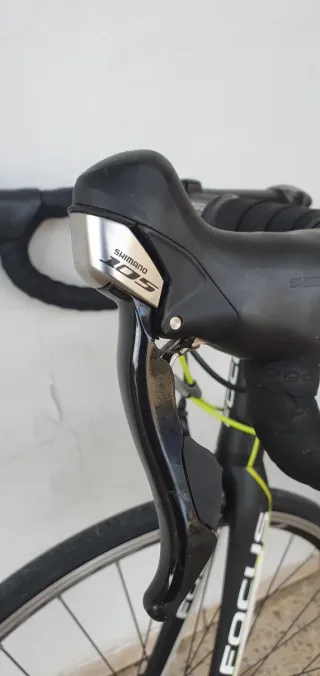 Bicicleta Carretera Focus Culebro