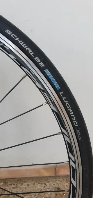 Bicicleta Carretera Focus Culebro