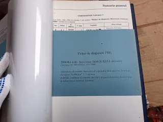 Manual Analizador Electrónico Fiat Lancia