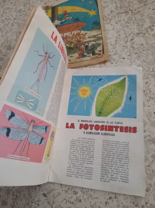 Revistas antiguas tricolor