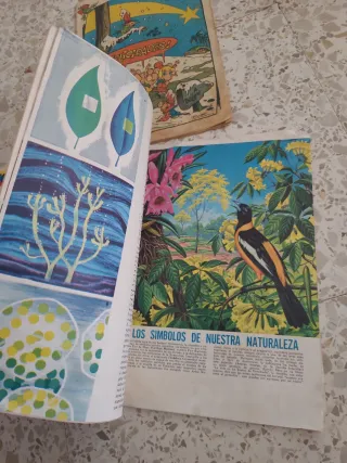 Revistas antiguas tricolor