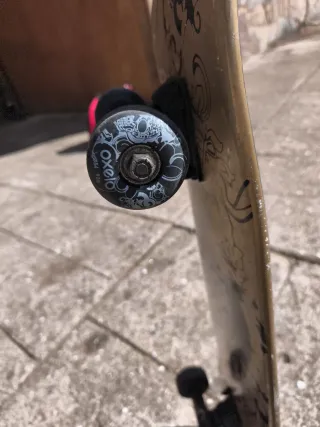 Skate Oxelo con diseño dorado