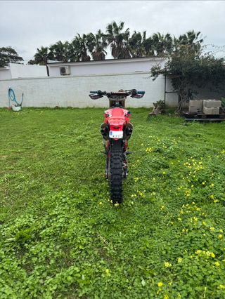 Honda CRF 450 RX Red moto Enduro