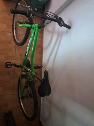 Bicicleta Montaña Talla 24 Verde