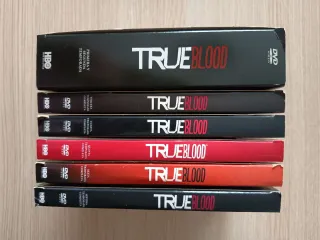 True Blood Serie Completa DVD (7 temporadas)