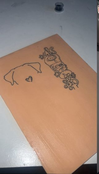 Phomemo TP31 Impresora Tattoo - Principiantes