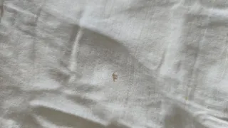 Relleno Nórdico marfil Poliéster