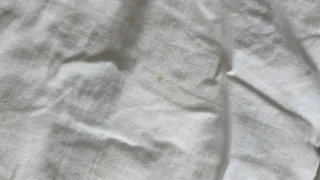 Relleno Nórdico marfil Poliéster