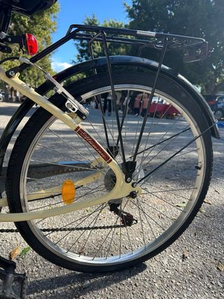 B-PRO URBAN LIFE 26 (2017)