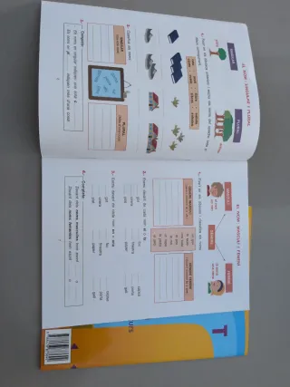 Pont Llengua 1r primària