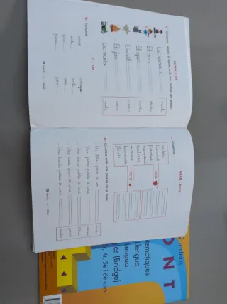 Pont Llengua 1r primària