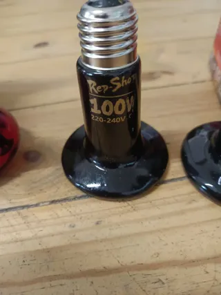 Lámparas de calor para reptiles (5 unidades)