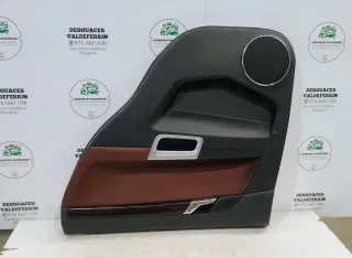 Panel Puerta Trasera Derecha Opel Antara