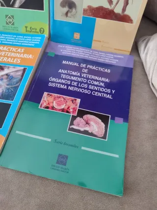 Manuales de prácticas de anatomía veterinaria.