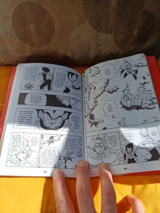 Bola de Drac nº 18/34 PDA