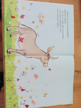 Mi primer Platero (Spanish Edition)