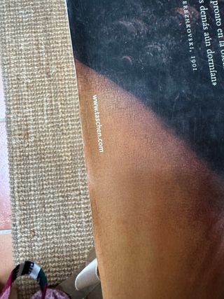 Leonardo Da Vinci (Spanish Edition)