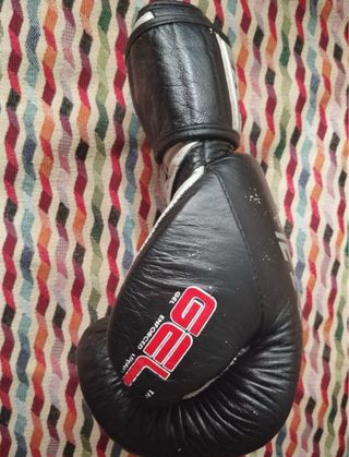 Guantes de Boxeo Charlie 14oz