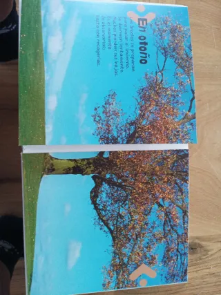 Los árboles de mi jardín (Enciclopeque / Encycl...