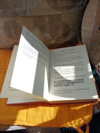 Diari d'una penjada 6. Una trencacors de pega