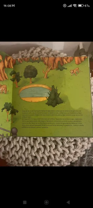 Libro menudos animales