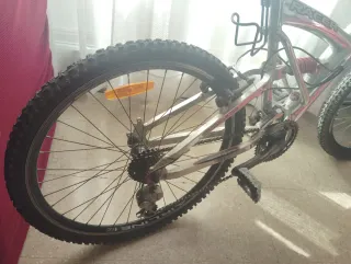 Bicicleta de Montaña Racer