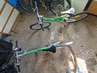 Bicicleta Paseo Verde