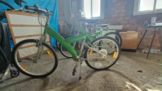 Bicicleta Paseo Verde