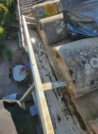 LIMPIEZA DE CANALÓNES Y TEJADOS