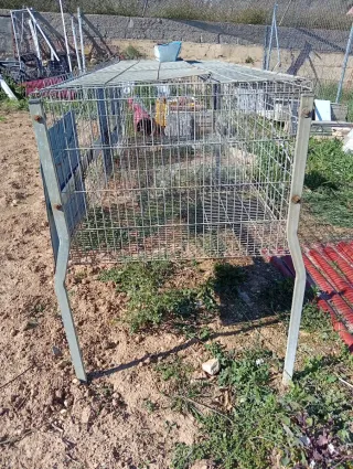 Jaula Gallinas Usada Una Vez