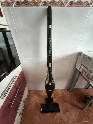 Aspirador Escoba Taurus Guzzler 29.0