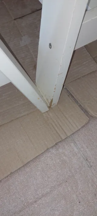 2 Caballetes Mittback