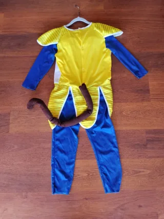 Disfraz Vegeta Dragon Ball