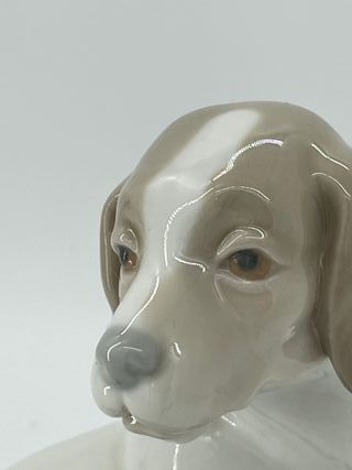 Figura perro Staffordshire Nao Lladro