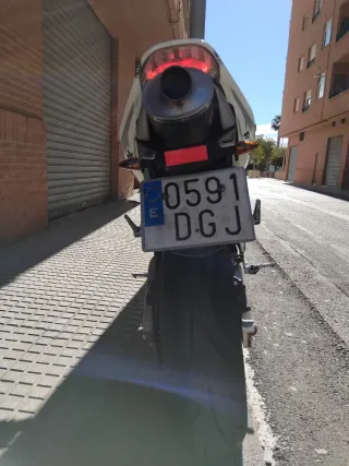 Honda CBR 600RR Blanca