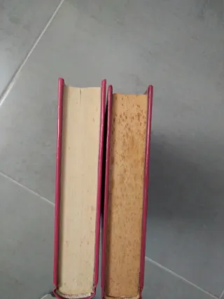 Flor del desierto y Sultana